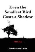 Even the Smallest Bird Casts a Shadow: Poems