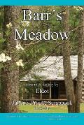 Barr's Meadow: Julian's Private Scrapbook Book 1