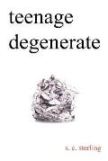 Teenage Degenerate: A Memoir that Explores the Depths of Methamphetamine and Drug Addiction
