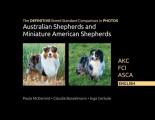 The DEFINITIVE Breed Standard Comparison in PHOTOS for Australian Shepherds and Miniature American Shepherds: Akc, Fci, Asca. English