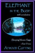 Elephant in the Bush: Sleeping Moose Saga Part Three with Conclusions