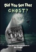 Did You See That Ghost?: A Ghostly Guide to the Haunts Of the Old North State
