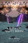 Rain of Night Birds