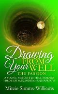 Drawing From Your Well: The Passion: A Young Woman's 20-Year Journey Through Pain, Passion and Purpose