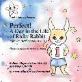Perfect! A Day in the Life of Ricky Rabbit: Type 1 or the Perfectionist in Us All