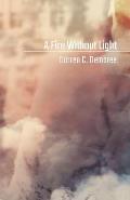 A Fire Without Light