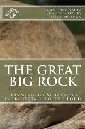 The Great Big Rock: Learning to Surrender Every Detail to the Lord