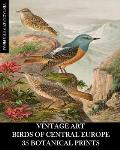Vintage Art: Birds of Central Europe: 35 Botanical Prints