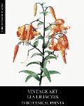 Vintage Art: Les Liliacees 30 Botanical Prints