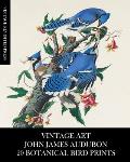 Vintage Art: John James Audubon: 20 Botanical Bird Prints