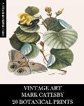 Vintage Art: Mark Catesby: 20 Botanical Prints