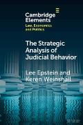 The Strategic Analysis of Judicial Behavior: A Comparative Perspective