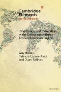 Inheritance and Innovation in the Evolution of Rural African American English