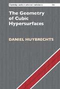 The Geometry of Cubic Hypersurfaces