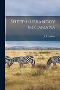 Sheep Husbandry in Canada