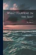 What Happens in the Sea?