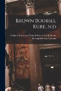 Brown Boobies, Kure, N.d