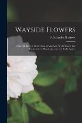 Wayside Flowers [microform]: Series II. Being a Description of American Wild Flowers That Bloom in Late May, June, July and Early August