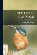 Bird Life in Labrador [microform]