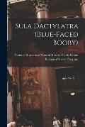 Sula Dactylatra (blue-faced Booby)