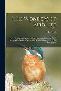 The Wonders of Bird Life: an Interesting Account of the Education, Courtship, Sport & Play, Makebelieve, Fighting & Other Aspects of the Life of