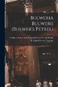 Bulweria Bulwerii (Bulwer's Petrel)
