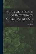 Injury and Death of Bacteria by Chemical Agents