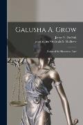Galusha A. Grow: Father of the Homestead Law