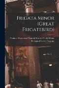Frigata Minor (great Frigatebird)
