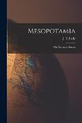 Mesopotamia: the Key to the Future