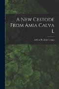 A New Cestode From Amia Calva L [microform]