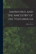 Amphioxus and the Ancestry of the Vertebrates [microform]