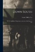Down South: or, An Englishman's Experience at the Seat of the American War; 2