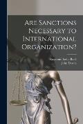 Are Sanctions Necessary to International Organization?