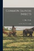 Common Illinois Insects: and Why They Are Interesting; 8