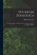 Spicilegia Zoologica; or, Original Figures and Short Systematic Descriptions of New and Unfigured Animals