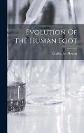 Evolution Of The Human Foot