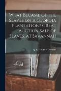 What Became of the Slaves on a Georgia Plantation? Great Auction Sale of Slaves, at Savannah
