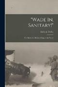 Wade In, Sanitary!: The Story of a Division Surgeon in France