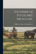 Souvenir of Negaunee, Michigan..