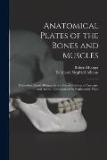 Anatomical Plates of the Bones and Muscles: Diminished From Albinus, for the use of Students in Anatomy, and Artists: Accompanied by Explanatory Maps