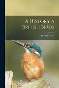 A History a British Birds