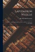 Lapidarium Walli?: The Early Inscribed and Sculptured Stones of Wales, Delineated and Described