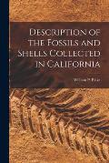 Description of the Fossils and Shells Collected in California