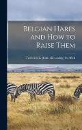 Belgian Hares and how to Raise Them