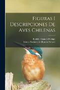 Figuras i descripciones de aves chilenas