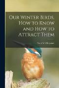 Our Winter Birds, how to Know and how to Attract Them