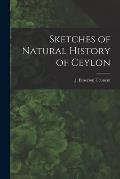 Sketches of Natural History of Ceylon