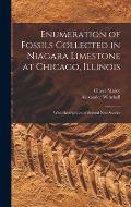 Enumeration of Fossils Collected in Niagara Limestone at Chicago, Illinois; With Descriptions of Several new Species