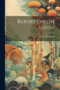 Report On the Echini